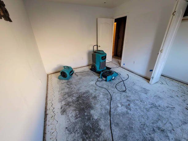 Best Water damage contractors near me  in Mayer, AZ